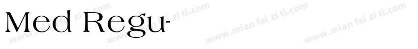 Med Regu字体转换